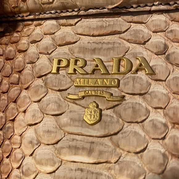 Prada Python Skin Satchel - Picture 8 of 15